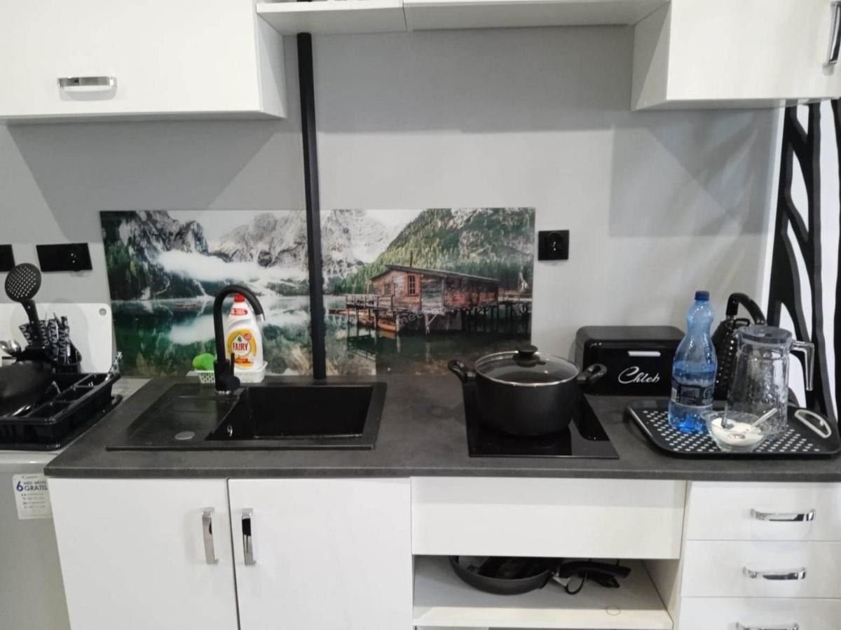 Komfortowy Apartament U Baltazara دوشنيكي زدروي المظهر الخارجي الصورة