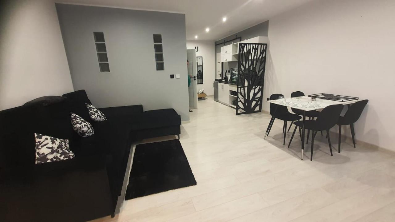Komfortowy Apartament U Baltazara دوشنيكي زدروي المظهر الخارجي الصورة